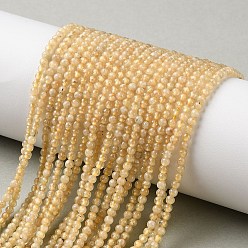 Гранат Бусины из натурального желтого граната, круглые, 2.7~3 мм, отверстие : 0.9 мм, около 165 шт / нитка, 15.94'' (40.5 см)