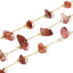 Red Agate Латунные кабельные цепи, с натуральным красным агатом, пайки, с катушкой, долговечный, золотые, 1~8x3~17x1~8 мм, около 32.81 футов (10 м) / рулон
