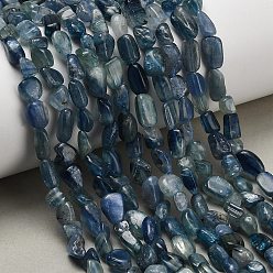 Кианит Натуральные нити из кианита / цианита / дистенового бисера, самородки, упавший камень, 6.5~10.5x4~7x3~7 мм, отверстие : 1 мм, 15.94'' (40.5 см)