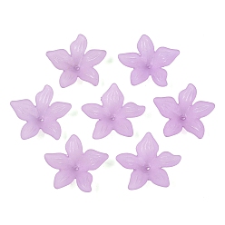 Prune Perles acrylique translucide, givré, bouchons fleur de perles, prune, 29x27x8mm, Trou: 2mm, environ515 pcs / 500 g