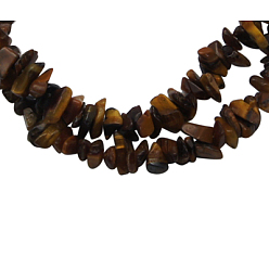 Tiger Eye Natural Tiger Eye Beads Strands, Chips, 3~5mm