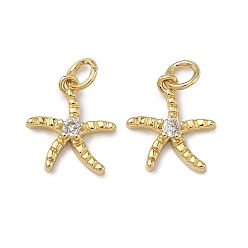 Настоящее золото 18K Латунные микропаве прозрачные подвески с фианитом, долговечный, стойки покрытие, без свинца и без кадмия, прелести морская звезда, реальный 18 k позолоченный, 13.5x12x3 мм, отверстие : 3 мм