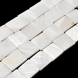 Морская Ракушка Естественных пресноводных оболочки бисер нитей, квадратный, цвет морской раковины, 14.5~15.5x14.5~15.5x3 мм, отверстие : 0.5 мм, около 26 шт / нитка, 15.35~15.47'' (39~39.3 см)