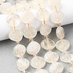 Лимонный Кварц Нити из резных бусин из натурального лимонного кварца (обработанных термически)., формы раковины, с бисером, 12~13x13~14x4~7 мм, отверстие : 0.8~1 мм, около 26 шт / нитка, 15.35'' (39 см)