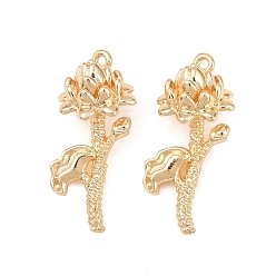 July Lotus Латунные подвески, , золотые, июльский лотос, 21.5x10.5x8.5 мм, отверстие : 1 мм