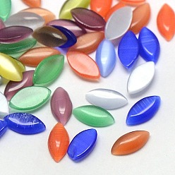 Mixed Color Cat Eye Cabochons, Horse Eye, Mixed Color, 15x7x2.5mm