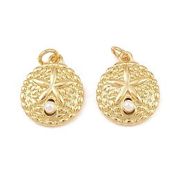 Настоящее золото 18K Подвески из латуни с имитацией жемчуга АБС, в форме раковины с морской звездой, с целью перехода в кольце, реальный 18 k позолоченный, 18x15x4.8 мм, отверстие : 3.4 мм