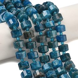 Апатит Природного апатита нитей бисера, граненые, диск, Heishi бусы, с бисером, 11~12x8~9 мм, отверстие : 0.7~0.8 мм, примерно 32~33шт/нить 15.16''~15.39''(38.5~39.1см)