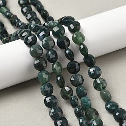 Мосс Агат Природные моховой агат бисер нитей, граненый квадратный разрез, плоско-круглые, 8~8.5x4.5~6.8 мм, отверстие : 0.8~1.2 мм, около 48~49 шт / нитка, 15.08''~15.35'' (38.3~39 см)