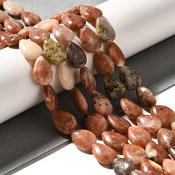 Plum Blossom Jasper Натуральные нити из яшмы в цвету сливы, слеза, 13.5~14x10~10.5x5 мм, отверстие : 1 мм, около 27~28 шт / нитка, 37.3~38.3 см