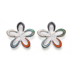 Разноцветный Подвески из сплава и окрашенных натуральных раковин морского ушка, , платина, красочный, 37~37.5x38.5~39x3.5~4 мм, отверстие : 7.5x3.5~4 мм