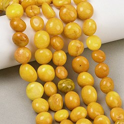 Gold Dyed Natural White Jade Beads Strands, Nuggets, Tumbled Stone, Gold, 9.5~13x9~12x9~15mm, Hole: 0.8mm, about 32pcs/strand, 15.35''(39cm)