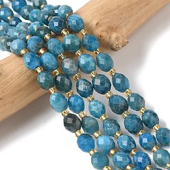 Апатит Природного апатита нитей бисера, граненые, рис, с бисером, 7.5~8x6~7.5 мм, отверстие : 0.8~1 мм, около 36~40 шт / нитка, 15.55~15.75'' (39.5~40 см)