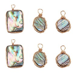 Real 18K Gold Plated 6Pcs 3 Style Natural Abalone Shell/Paua Shell Pendants, with Copper Wire, Flat Round & Oval & Rectangle, Real 18K Gold Plated, 17~26x10~14.3x2.5~3.5mm, Hole: 3mm, 2pcs/style