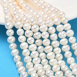 Beige Hilos de perlas de agua dulce cultivadas naturales, grado 3a+, patata, crema, 6 mm, agujero: 0.6 mm, sobre 55~56 unidades / cadena, 13.78~13.98'' (35~35.5 cm)