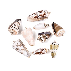 Mixed Color Electroplate Natural Spiral Shell Pendants, Conch Charms, with Iron Loops and Brass Findings, Light Gold, Mixed Color, 32~55x13~25x12~23mm, Hole: 1.6~1.8mm