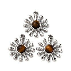 Нержавеющая Сталь Цвет Природных тигровый глаз подвески, , с 304 установками из нержавеющей стали, цвет нержавеющей стали, 19.5x17x4.5 мм, отверстие : 1.2 мм