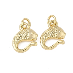 Настоящее золото 18K Латунные подвески, рыбы прелести, с целью перехода в кольце, долговечный, без свинца и без кадмия, реальный 18 k позолоченный, 10x9.5x3 мм, отверстие : 2.5 мм