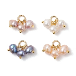 (52) Непрозрачная лаванда Натуральный культивированный пресноводный жемчуг 3 картофельные подвески, с 304 фурнитурой из нержавеющей стали, золотые, смешанные окрашенные и неокрашенные, разноцветные, 10.5x6.5~7.5x6~6.5 мм, Перейти кольцо: 6x1 мм, внутренний диаметр: 4 мм