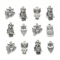 Antique Silver Tibetan Style Alloy Owl Pendants, Antique Silver, 16~30x16~30x3~4mm, Hole: 1~2mm