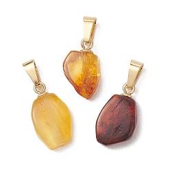 Золотой Подвески из натурального янтаря с градиентным цветом, Подвески-самородки с латунной застежкой на дужке, золотые, 14~16x8~9x4~6 мм, отверстие : 6x4 мм
