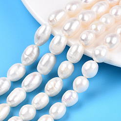 Creamy White Natural Cultured Freshwater Pearl Beads Strands, Rice, Creamy White, 8.5~14.5x8~9mm, Hole: 0.7mm, about 29~36pcs/strand, 13.74 inch~14.96 inch(34.9cm~38cm)