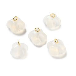 Натуральный Агат Подвески из натурального агата с цветком османтуса, с золотыми тонами латунных петель, 9.5~10x9.5~10.5 мм, отверстие : 2 мм