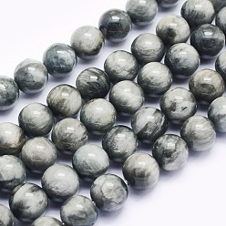 Eagle Eye Stone Natural Hawk's Eye Beads Strands, Eagle Eye Stone, Round, 10mm, Hole: 1mm, about 44pcs/strand, 15.5 inch(39.5cm)