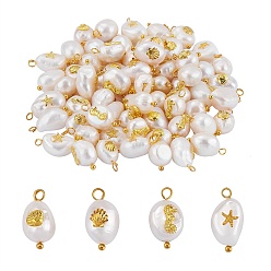 Golden 40Pcs 4 Styles Natural Keshi Pearl Pendants, with Golden Tone Alloy Cabochons and Brass Loops, Oval & Nuggets, Seashell Color, 13~16x8~9x5~8mm, Hole: 2mm, 10pcs/style