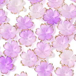 Средняя Орхидея 50 шт. акриловые колпачки для бусин, 5-лепестков цветка, с золотым краем, средне орхидеи, 17.5x18x5 мм, отверстие : 1.2 мм