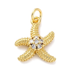 Морская звезда Латунные микро проложить кубического циркония подвески, без кадмия и без свинца, морские животные амулеты, реальный 16 k позолоченный, с целью перехода в кольце, морская звезда, 17x14x4.5 мм, отверстие : 3 мм