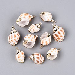 Light Gold Подвески из натуральных морских ракушек, покрытые гальваническим способом, подвески в форме ракушек, с железными петлями и латунной фурнитурой, песчаный коричневый, золотой свет, 26~36x14~22x15~20 мм, отверстие : 1.6~1.8 мм