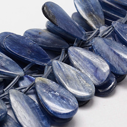 Кианит Натуральный кианит / цианит / бусины с каплевидным дистеном, 30x15x2~4 мм, отверстие : 0.7 мм, около 25 шт / нитка, 15.7 дюйм
