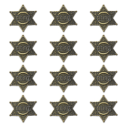 Brushed Antique Bronze 12 шт. значок в виде звезды Давида со словом «шериф» из сплава для ношения на лацкане, рюкзаке или одежде, щеткой античная бронза, 29x29 мм