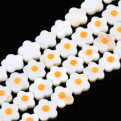Orange Eau douce naturelle de coquillage perles brins, simple face avec émail, fleur, orange, 10.5~11x10.5~11x4mm, Trou: 0.7mm, Environ 39~41 pcs/chapelet, 15.16 pouces ~ 15.75 pouces (38.5~40 cm)