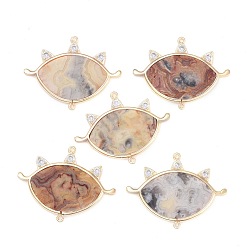 Сумасшедший Агат Соединители звеньев натурального сумасшедшего агата, с латунными микро проложить кубических выводы циркония, глаз, золотой свет, 31.5x41~41.5x2.5 мм, отверстие : 1.4 мм
