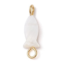 Золотой Натуральные пресноводные ракушки рыбы ссылки соединительные подвески, с 304 двойными петлями из нержавеющей стали, золотые, 16x5x2~3 мм, отверстие : 1.5~2 мм