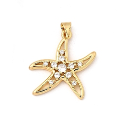 Морская звезда Латунные микро проложить кубического циркония подвески, без кадмия и без свинца, реальный 16 k позолоченный, морская звезда, 23.5x23x3.5 мм, отверстие : 4x5 мм