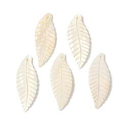 Античный Белый Резные подвески из натуральных пресноводных ракушек, лист прелести, старинный белый, 47x16.5~17x2.5~3 мм, отверстие : 1.4 мм