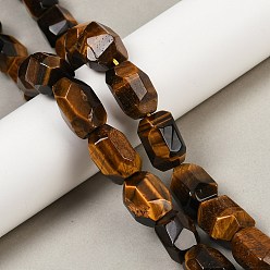 Тигровый глаз Природных тигровый глаз бисер нитей, граненые, самородки, 19.5~23x14~15.5x13.5~15.5 мм, отверстие : 0.9 мм, около 18~19 шт / нитка, 14.96~15.47'' (38~39.3 см)