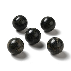 Kambaba Jasper Natural Kambaba Jasper Beads, No Hole/Undrilled, Round, 25~25.5mm