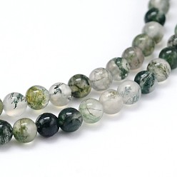 Moss Agate Natural Gemstone Round Bead Strands, Moss Agate, 4mm, Hole: 1mm, about 100pcs/strand, 16 inch