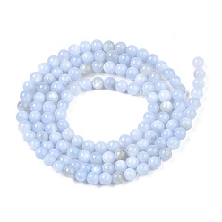 Cornflower Blue Natural Freshwater Shell Beads Strands, Dyed, Round, Cornflower Blue, 2.5mm, Hole: 0.5mm, about 122~136pcs/strand, 14.57 inch~15.63 inch(37cm~39.7cm)