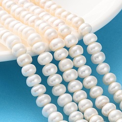 Желтая Старая Ткань  Нити из натурального культивированного пресноводного жемчуга, рондель, класс 4а++, старое кружево, 7~8 мм, отверстие : 0.7~0.8 мм, около 61~82 шт / нитка, 13.46''~14.69'' (34.2~37.3 см)