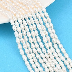 Папайя Оранжевый Нити из натурального культивированного пресноводного жемчуга, рис, класс +, papayawhip, 3~4 мм, отверстие : 0.4 мм, около 62~80 шт / нитка, 14.37~14.57'' (36.5~37 см)