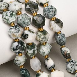 Tree Agate Natural Tree Agate Beads Strands, Hexagon, Faceted, with Seed Beads, 10x11x6~7mm, Hole: 1.4mm, about 15~16pcs/strand, 7.28''(18.5cm)~7.48''(19cm)