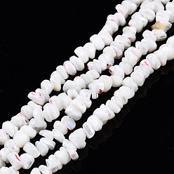 Creamy White Natural Trochid Shell/Trochus Shell Beads Strands, Bleach, Nuggets Chips, Creamy White, 6.5~9x5~8x2~7mm, Hole: 0.8mm, about 101~108pcs/strand, 15.55 inch~15.94 inch(39.5~40.5cm)