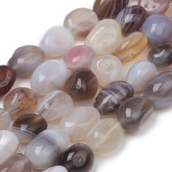 Botswana Agate Natural Botswana Agate Beads Strands, Nuggets, Tumbled Stone, 8~10x8~9x5.5~6mm, Hole: 0.5mm, about 43pcs/strand, 15.55 inch(39.5cm)