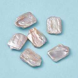 Морская Ракушка Бусины из натурального жемчуга кеши в стиле барокко, прямоугольные, цвет морской раковины, 21~22x14.5~15.5x3~5 мм, отверстие : 1 мм