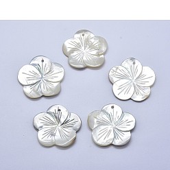 Shell Undyed Shell Pendants, Flower, 35~38x2~3mm, Hole: 2mm